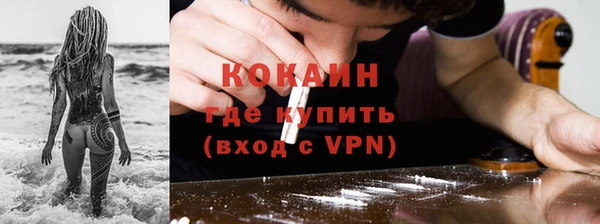 индика Зеленокумск