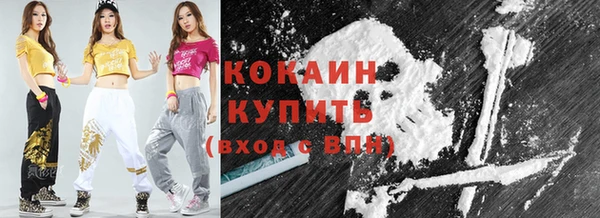 индика Зеленокумск