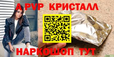 хмурый Кингисепп