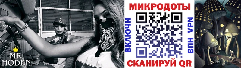 сайты даркнета формула  Юрга  Галлюциногенные грибы Psilocybe 