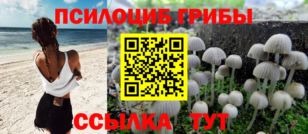 Псилоцибиновые грибы ЛСД Юрга
