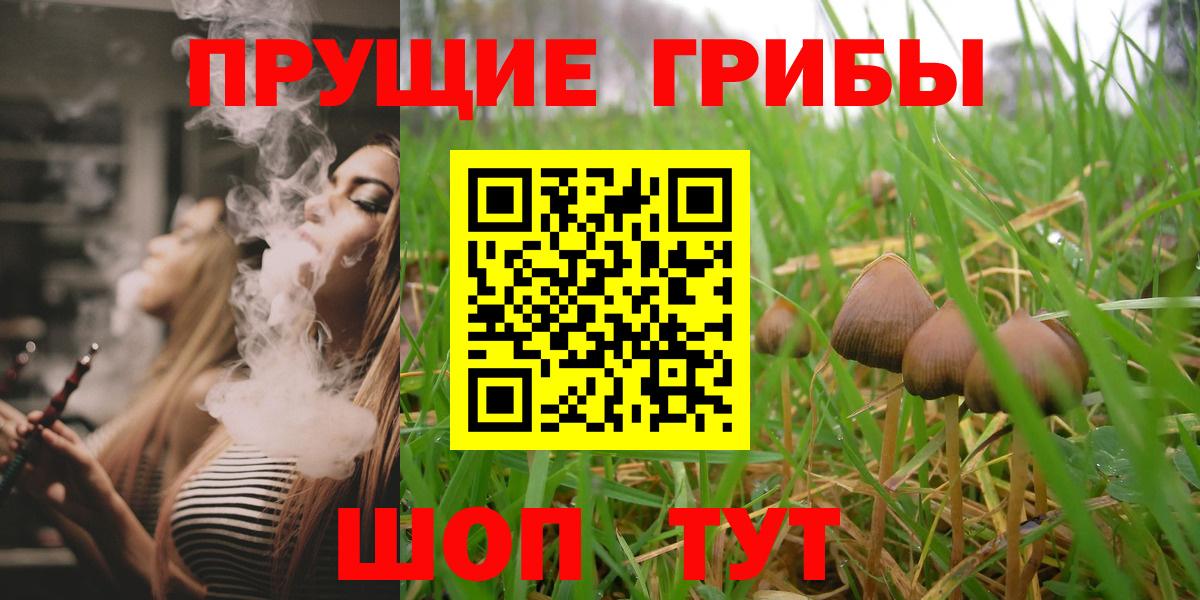 Юрга  Псилоцибиновые грибы ЛСД  Вход с VPN 